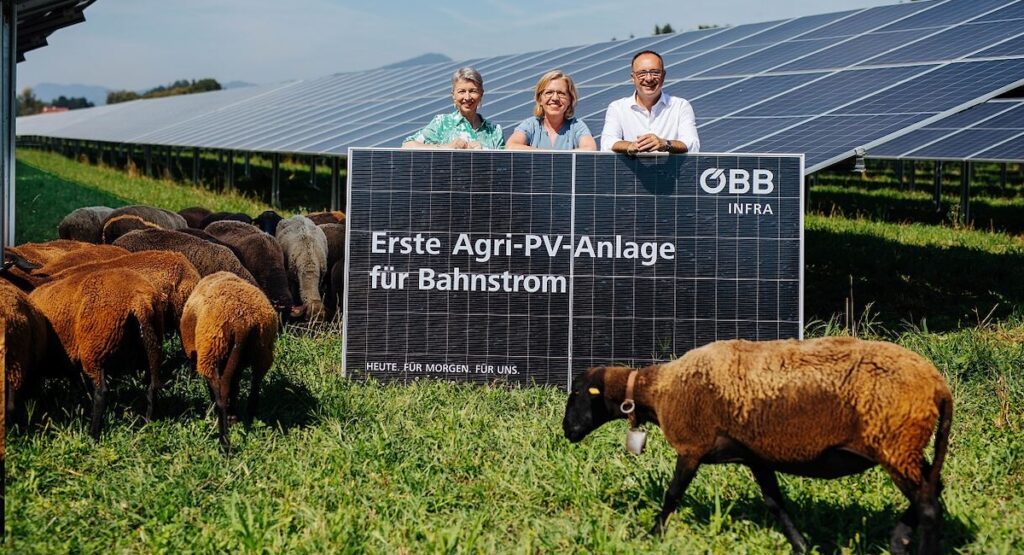 ÖBB, Thalsdorf, Agri-PV, Österreichische Bundesbahnen, Gewessler